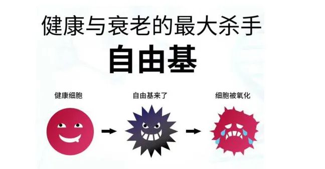 玻尿酸的作用與功效有哪些？