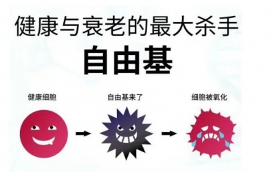 玻尿酸的作用與功效有哪些？